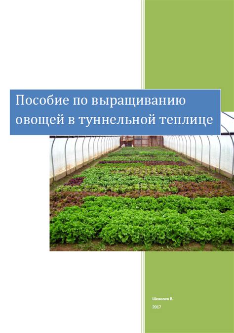 Преимущества профессионального подхода к выращиванию растений в арендованных теплицах