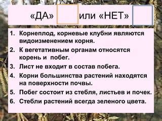 Преобразование беглого гласного не является видоизменением корня