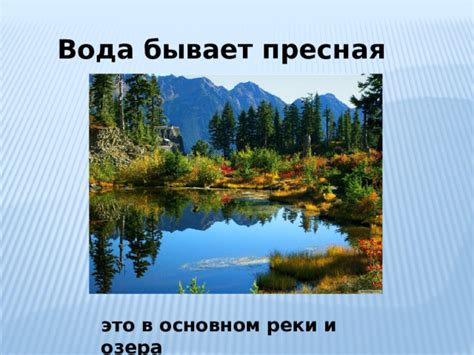 Пресная вода vs. Течение реки: Что привлекает щуку в ее предпочтительную среду