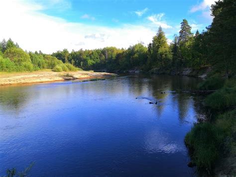 Пресноводные водоемы: уникальные находки карминофильных водорослей в озерах и реках