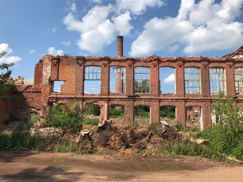 Привлекательность руин городских поселений для храбрых мелких созданий
