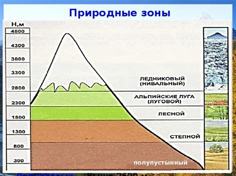 Привлекательные природные зоны и высококлассные склоны в октябре в Алтайском крае