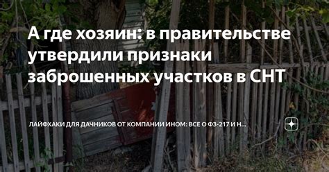 Признаки и особенности лесных участков, где возможно обнаружить лисички