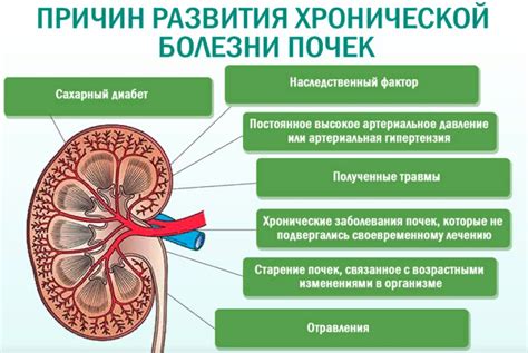 Признаки и симптомы отклонения в работе почек