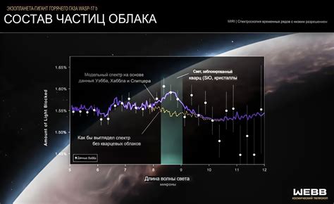 Признаки наличия влажно-почвенных организмов