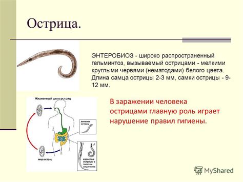 Признаки наличия остриц у малышей