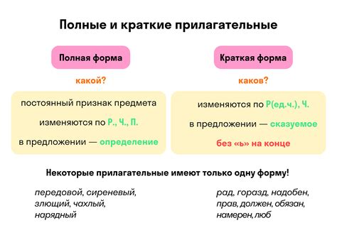 Прилагательное: описание и способы применения
