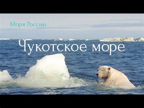 Приливы в Чукотском море: особенности и уровни высоких показателей