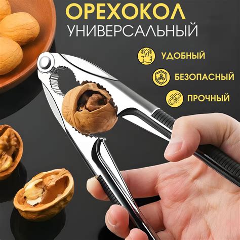 Применение вакуумной упаковки: сохранение свежести грецких орехов