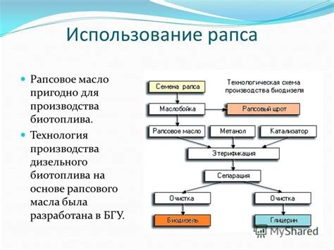 Применение растительного масла на основе рапса в различных отраслях экономики