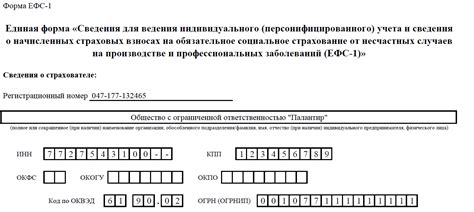 Применение статуса "зл" в рамках документа ЕФС 1 в различных областях