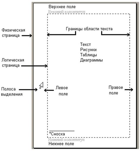 Применение функционала для оформления текста в Microsoft Word