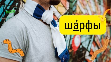 Примеры верного ударения в слове "шарфы"