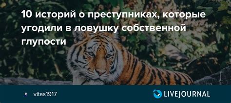 Примеры громких историй о многократных преступниках в прошлом человечества