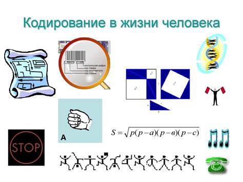 Примеры использования отрезков в повседневной жизни