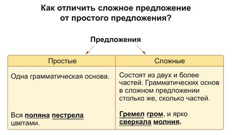 Примеры предложений: простые и сложные, их структура и правильная пунктуация