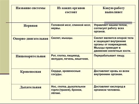 Примеры тканевых органов и их функции