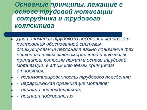 Принципы, лежащие в основе формирования психологической мотивации