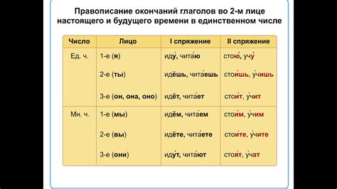 Принципы изменения глаголов в соответствии с лицами и числами