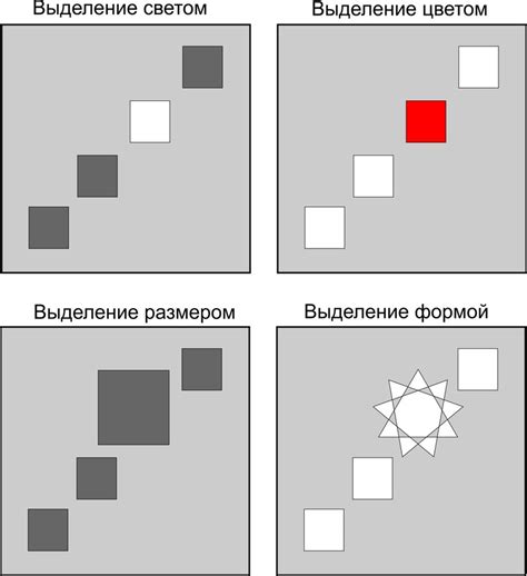 Принципы композиции в фотографии: создание впечатляющего образа