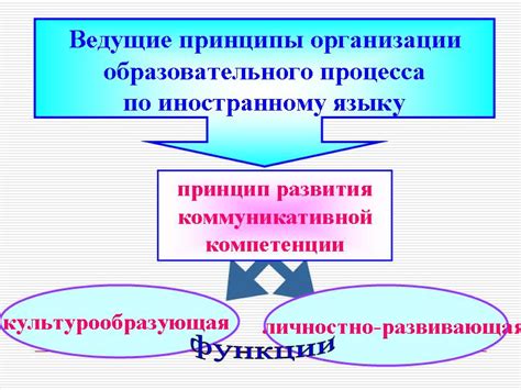 Принципы организации образовательного процесса