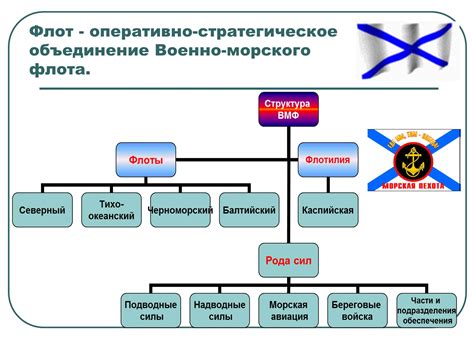 Принципы работы и назначение системы "Тройка" в Российской Федерации