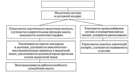 Принцип действия Прозака на организм: механизм воздействия препарата