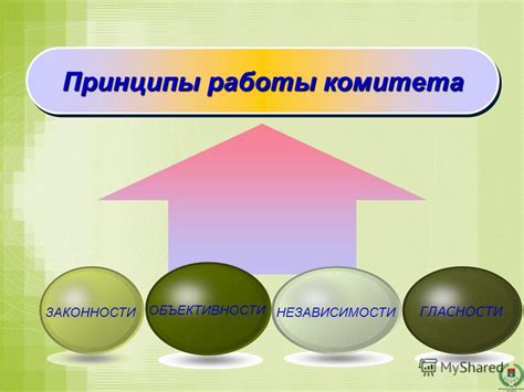 Принцип независимости и объективности контроля