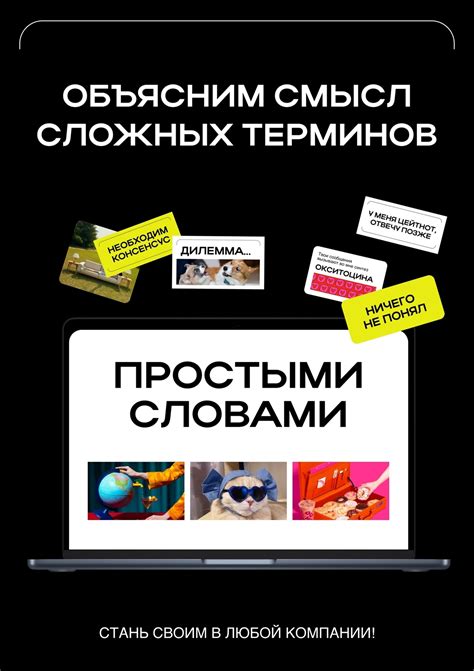 Принцип функционирования платформы фанпей маил: простыми словами