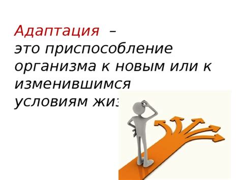 Приобретение гибкости мышления: адаптация к изменяющимся обстоятельствам