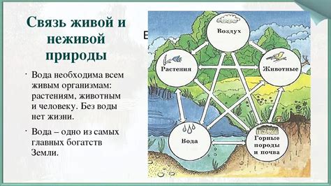 Природа взаимосвязи между эффективностью движения и использованием ресурсов