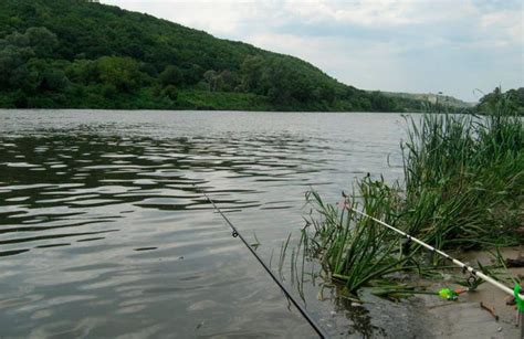Природные водоемы для успешной рыбалки