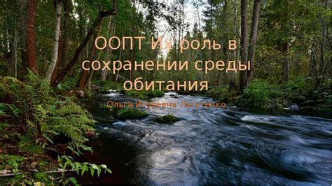 Природные инстинкты собак и их роль в сохранении вида