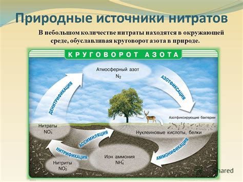 Природные источники азота