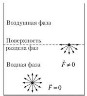 Притяжение: основные виды сил, действующих на молекулы