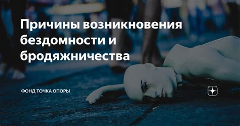 Причины возникновения бездомности у псов