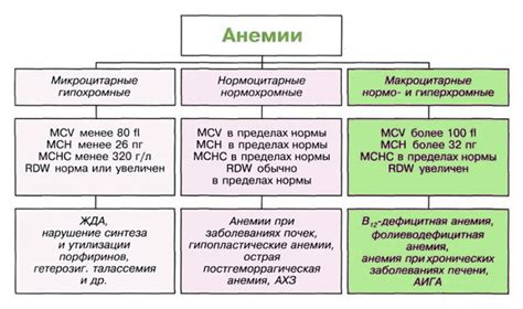 Причины возникновения и развития недостаточного уровня гемоглобина