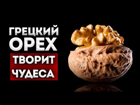 Причины возрастающего интереса к грецкому ореху в качестве пищевого продукта