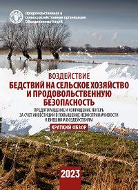 Причины и воздействие засух на сельское хозяйство