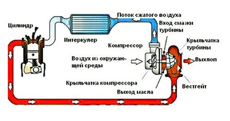 Причины нагревания турбины и интеркулера при работе автомобиля