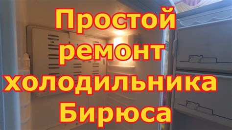 Причины отсутствия важной функции холодильника Бирюса