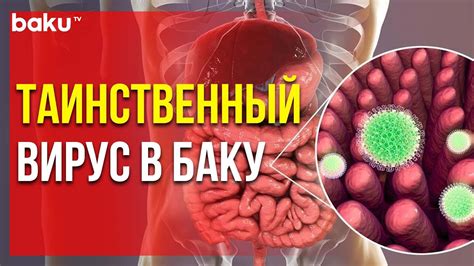 Причины распространения вируса агента