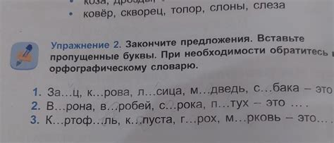 При необходимости, обратитесь к процедуре апелляции или обращения к вышестоящим органам