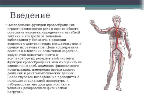 Проблема высокого кровяного давления в условиях физической нагрузки: актуальность исследования