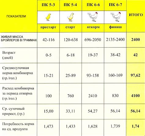 Проблемы с конечностями у молодых бройлеров: факторы и следствия