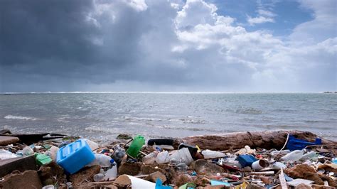 Проблемы с прозрачностью воды