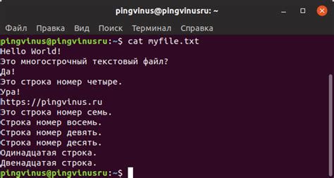 Проверка наличия пакетов в Linux: осмотримся в командной строке