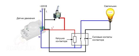 Проверка состояния и подключения источника света