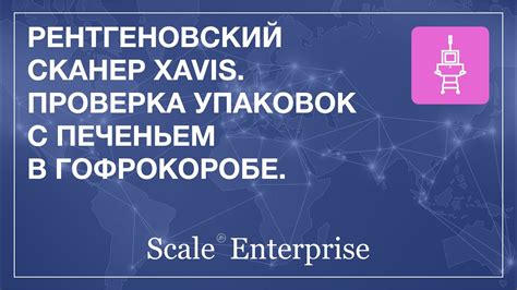 Проверка упаковок с запасами и зерном на наличие мольных личинок