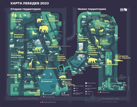 Прогулки по территории зоопарка, участие в зоомероприятиях, обзор видов животных